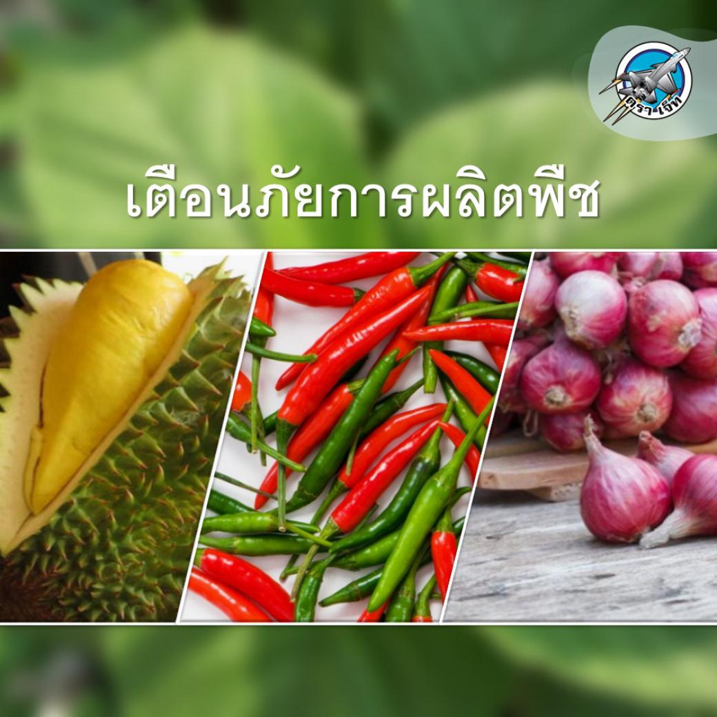 กรมวิชาการเกษตรแจ้งเตือนภัย