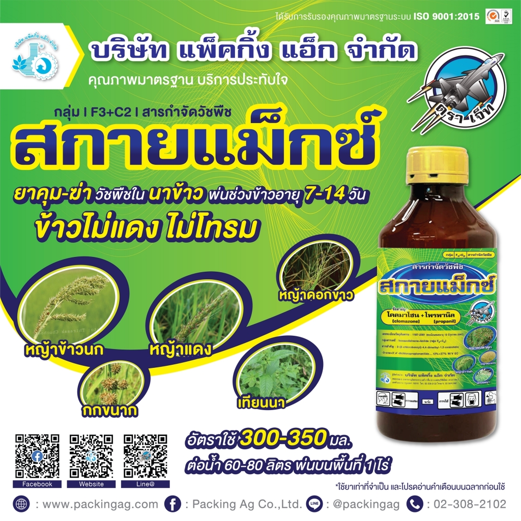 My Image 30