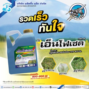เอ็นโฟเซต