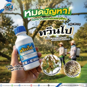 ทวินโปร