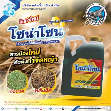 โซน่าโซน