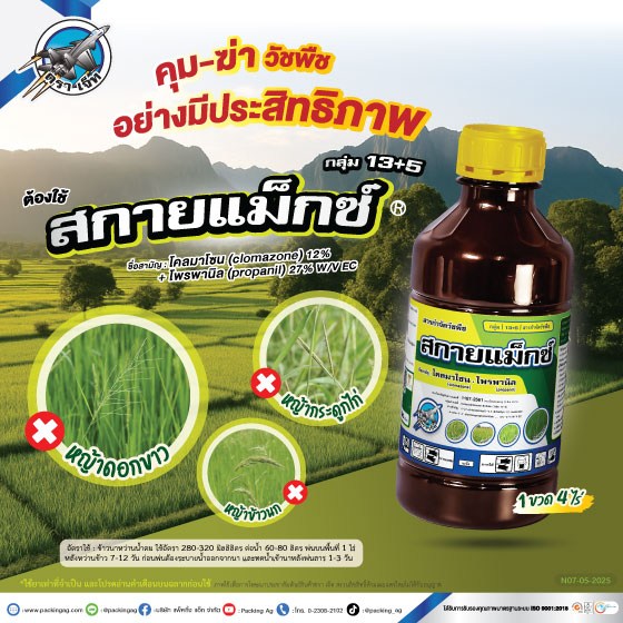 สกายแม็กซ์