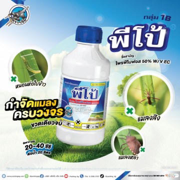 พีโปร