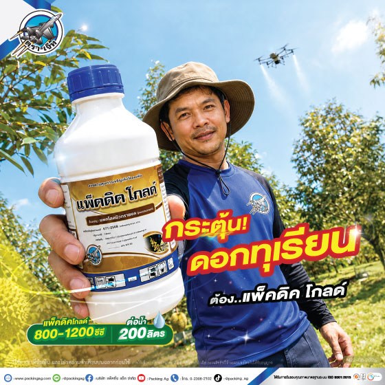 แพ็คดิค-โกลด์
