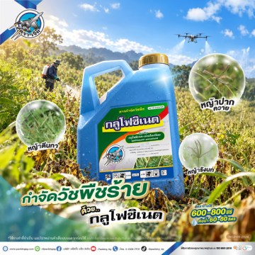 9Ad-PA-กลูโฟซิเนต-(วัชพืช)-ปี69-web
