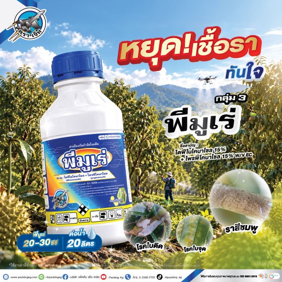 พีมูเร่