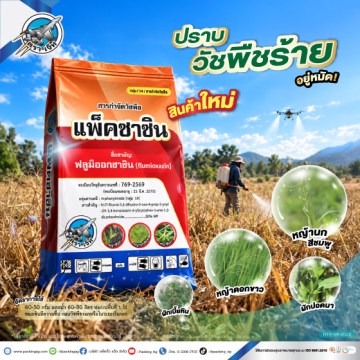 แพ็คซาซิน