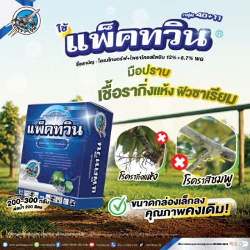 แพ็คทวิน